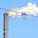 The Howling Wilderness of Carbon Credits