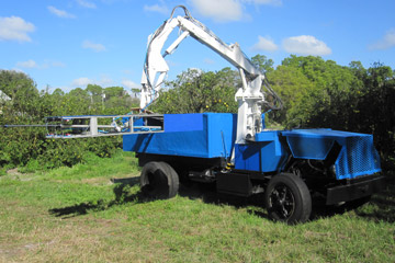 Farm Bots and Two-Month-Old Bread: Innovations in Food and Agriculture