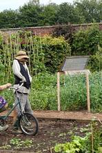 The 10 Best gardens to visit