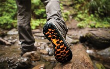 Close-up shot of a Merrell walking shoe