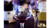 [winetastings1]