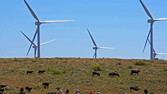 [Water Worries Shape Local Energy Decisions]