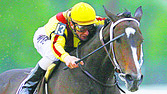 [calvin borel and preakness]