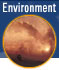 Environment