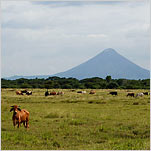 The Rediscovery of Nicaragua