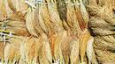 Valuing Folk Crop Varieties for Agroecology and Food Security