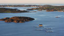 The AquaBounty Salmon: Will the World's First Commercial GE Animal Be an Albatross?