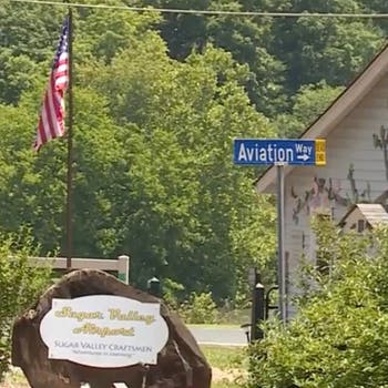 The pilot of a plane that crashed at the Sugar Valley Airport in North Carolina this month lifted a wheel after landing to dodge a turtle on the runway, according to a preliminary report from the National Transportation Safety Board.